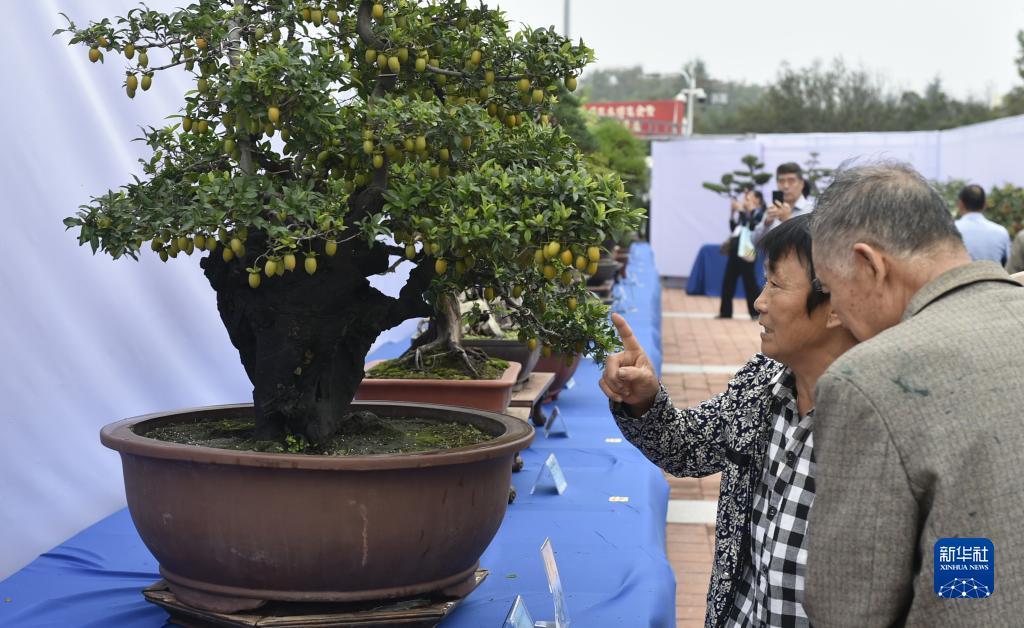必发官网登入